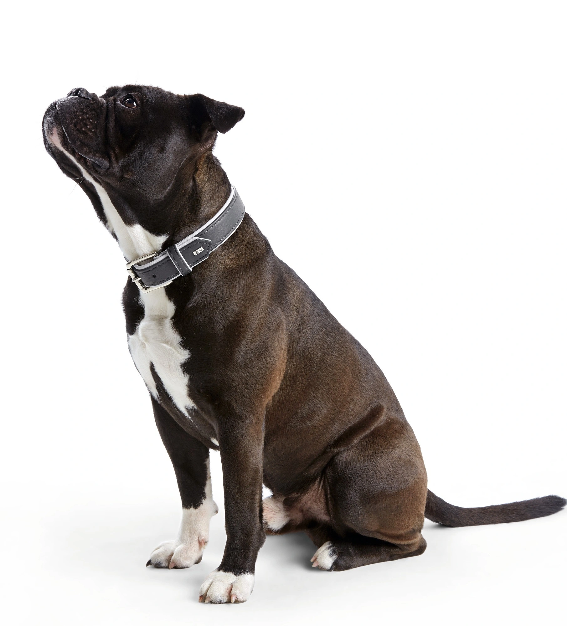 Hunter Hundehalsbånd læder Canada Elg Grå 30 - 21-25 cm